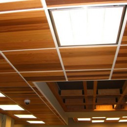 Silva Panel - Ceiling Work - 04